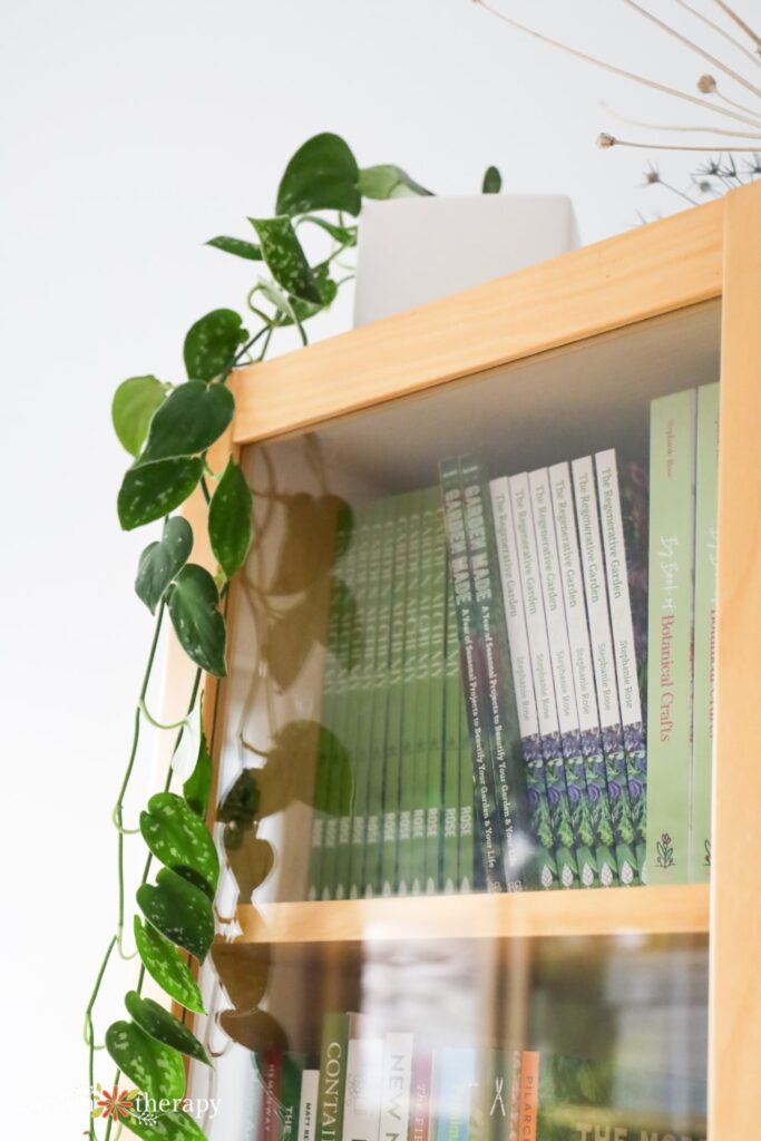 glass covered bookshelf with hanging pothos