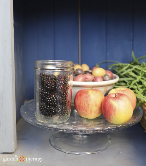 urban homestead and farm stand with apples and blackberries