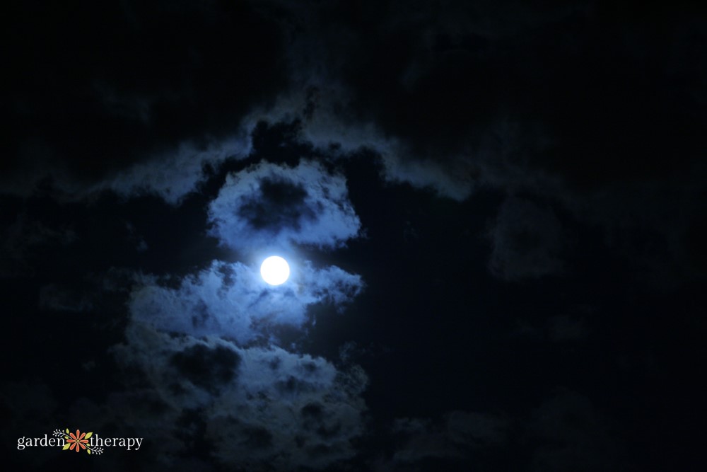 full moon with cloud coverage