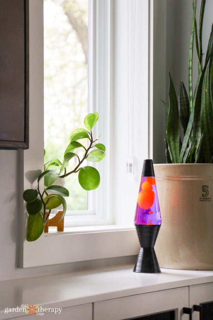 lava lamp sitting on a windowsill next to plants