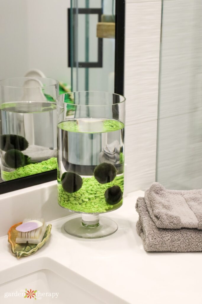 marimo moss balls sitting in a clear vase on a bathroom countertop