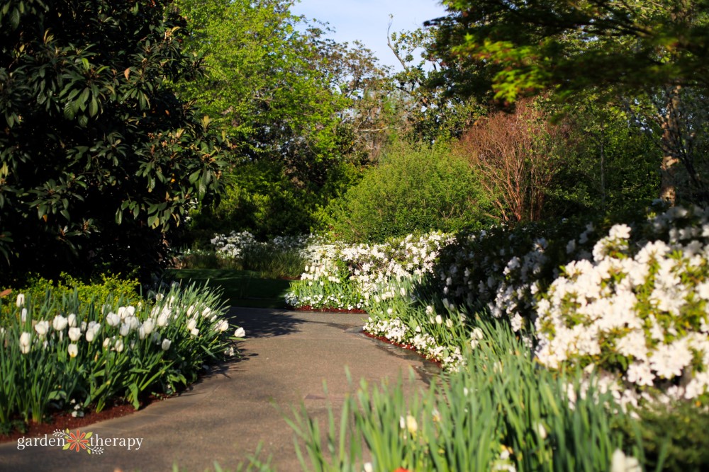 pathway through moon garden