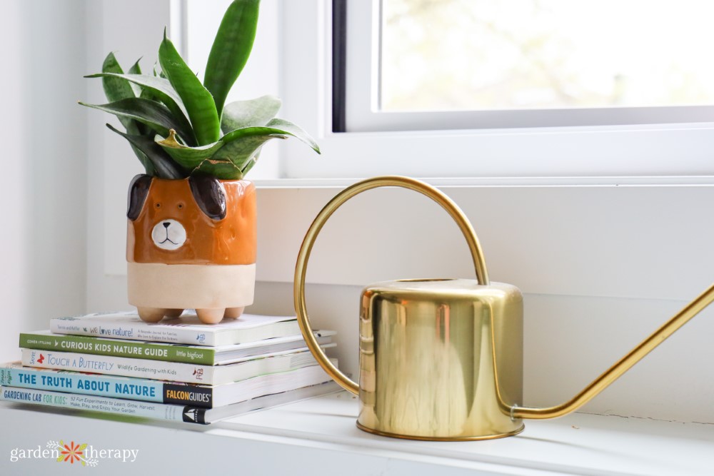 snake plant sitting on book stack next to a brass watering can on a window ledge