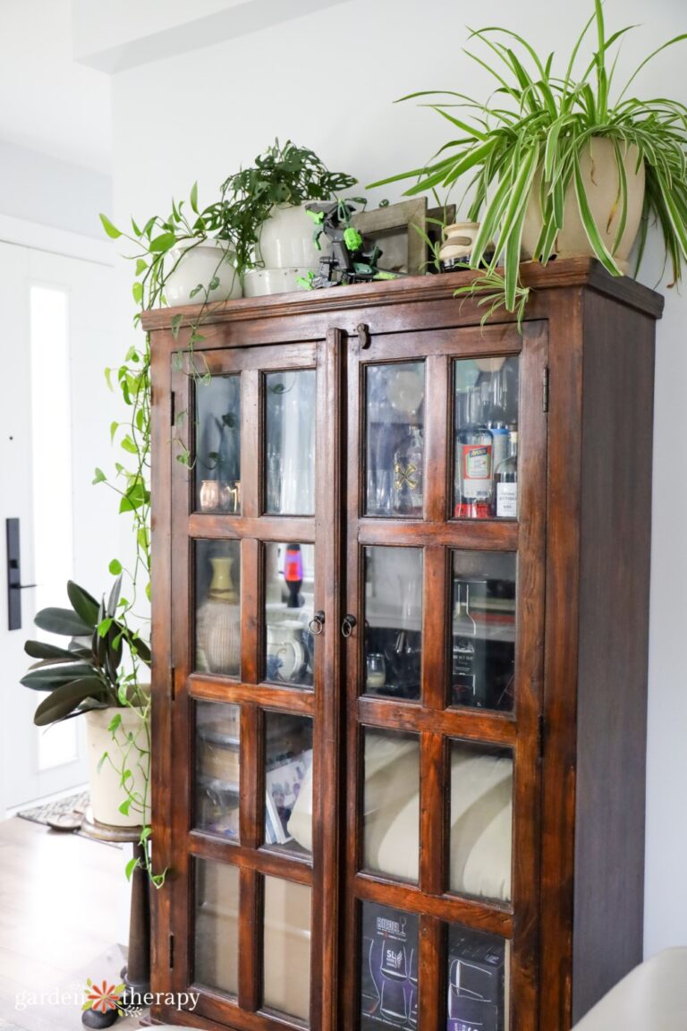 Picture of 10 Apartment Decor Ideas to Make a Plain Space Feel Like Home - Garden ...