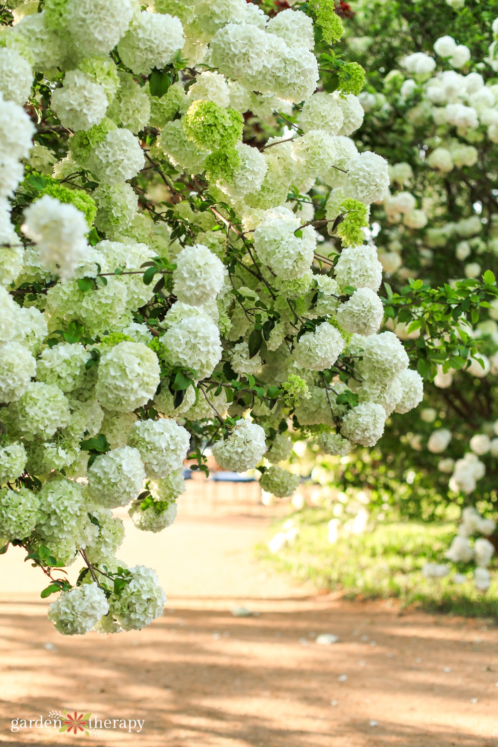 understanding-gardening-zones-your-green-thumb-s-gps-garden-therapy