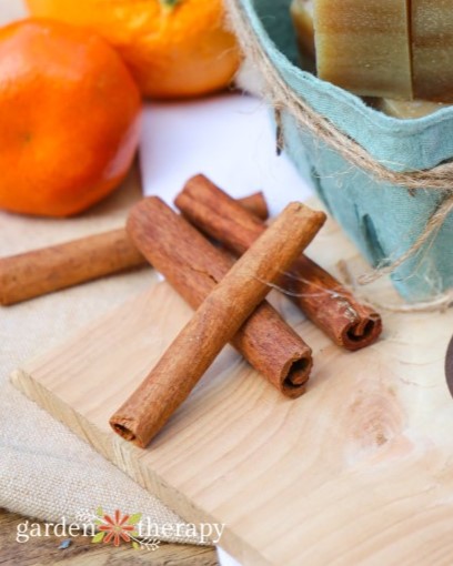 cinnamon sticks for plants