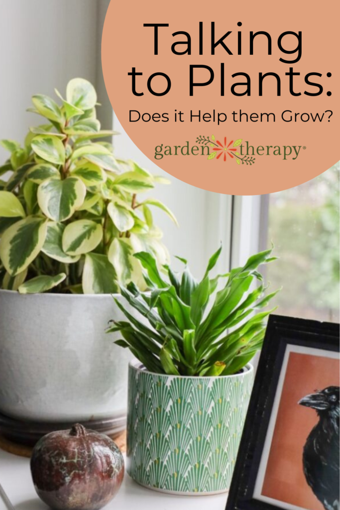 Pin image for talking to plants and whether or not it helps them grow.