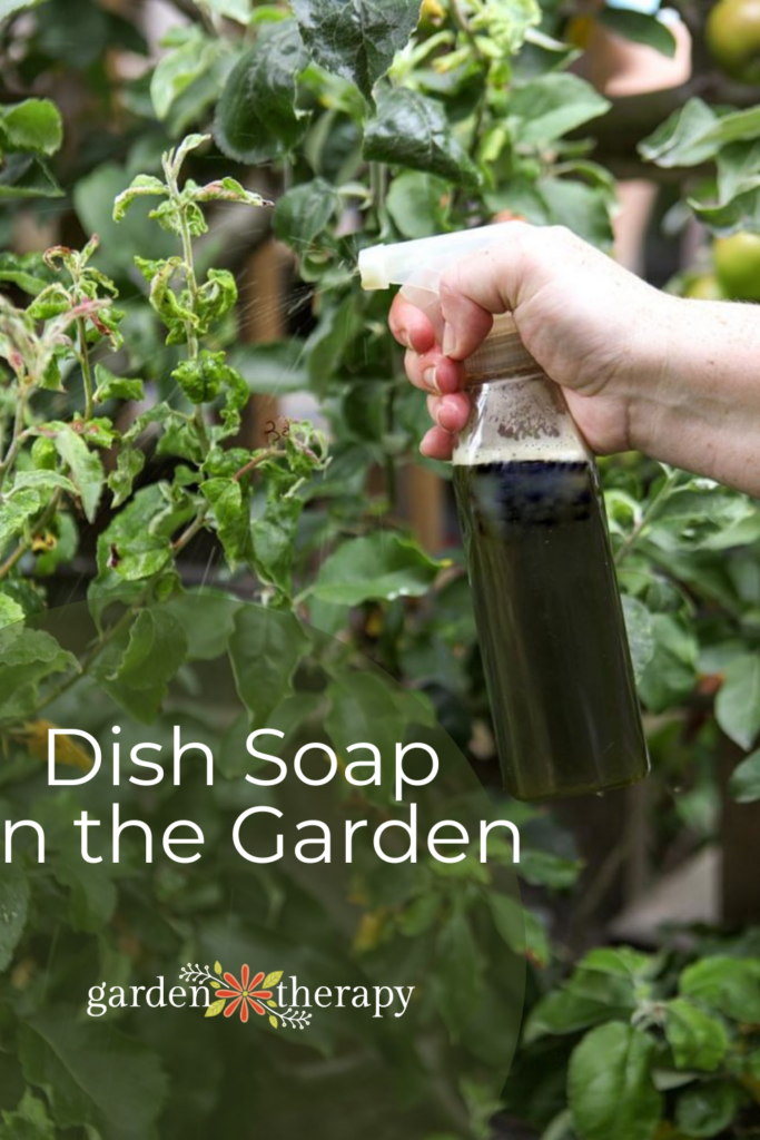 Pin image for using dish soap and soapy water in the garden.