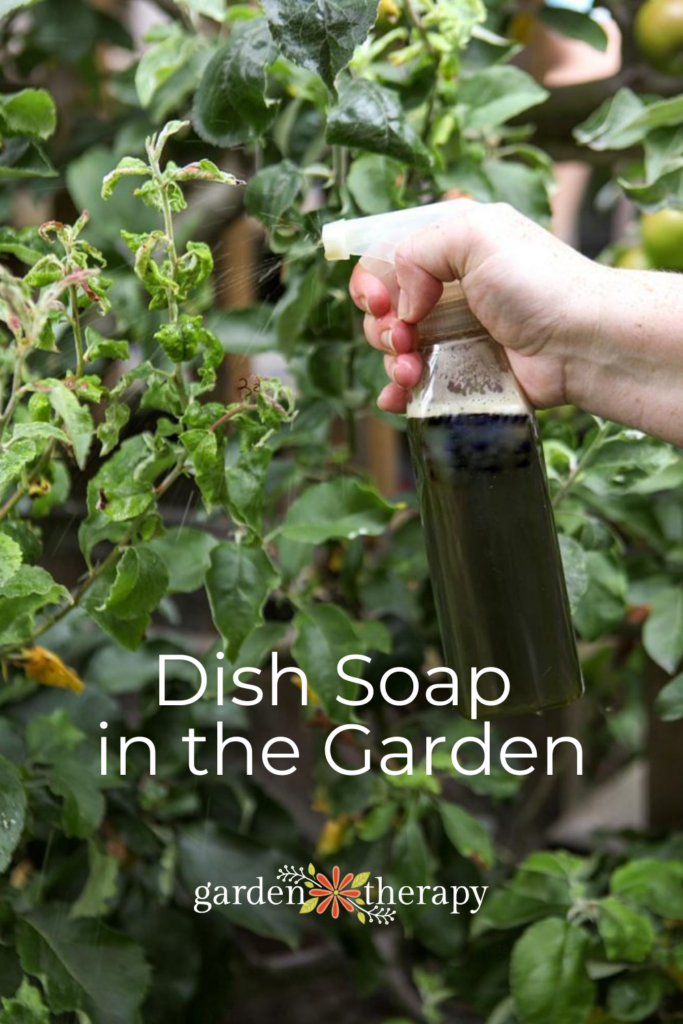 Pin image for using dish soap in the garden