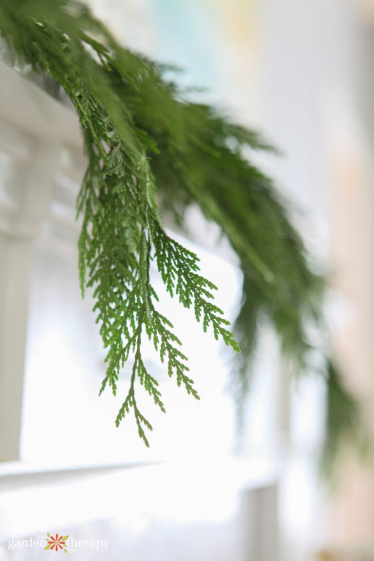 Rustic Chic Crafting a Cedar Garland for Your Festive Home Garden