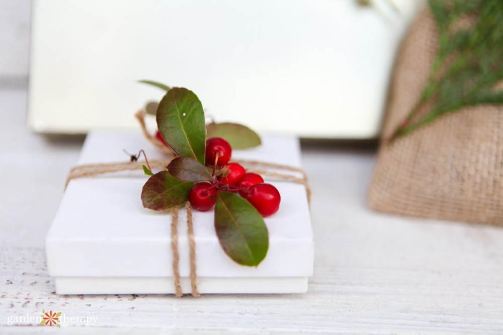 using wintergreen berries as eco-friendly gift wrapping