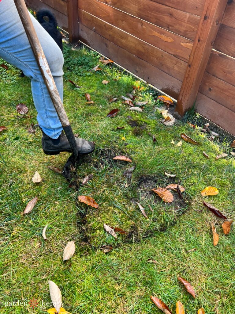 digging a heart shape into the lawn for a bulb lawn