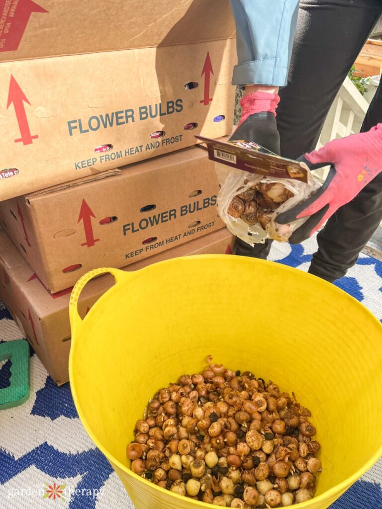 bulb garden mixture in a big yellow tub