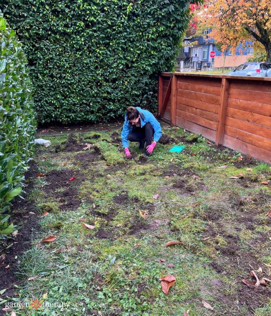 person crouched down planting bulbs in lawn