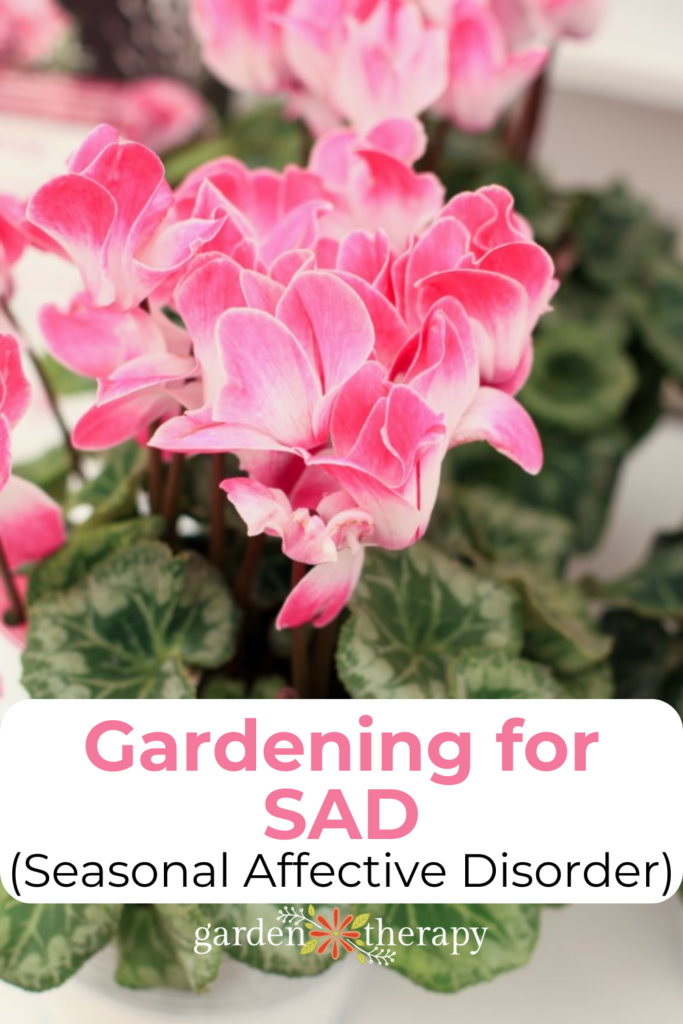 How Gardening for Seasonal Affective Disorder Can Chase the Blues