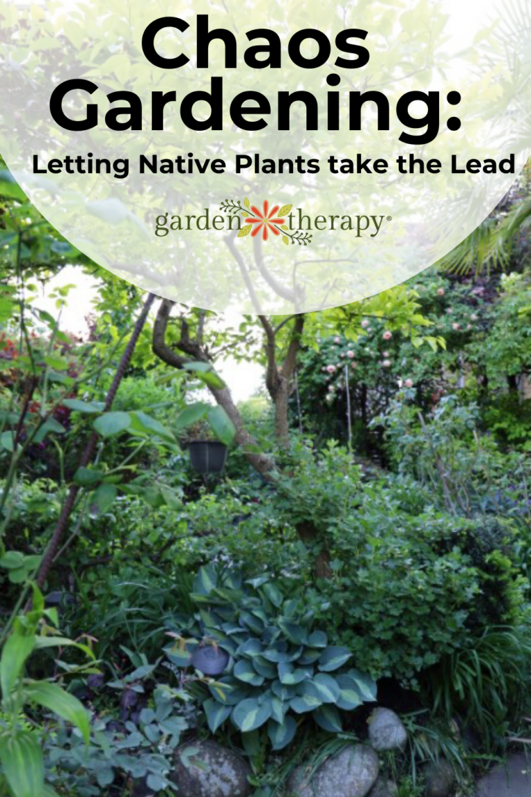 What Is Chaos Gardening And Why You Should Try It Garden Therapy