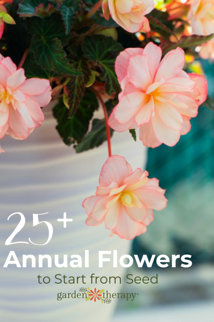 Pin image for 25+ annual flowers to start from seed