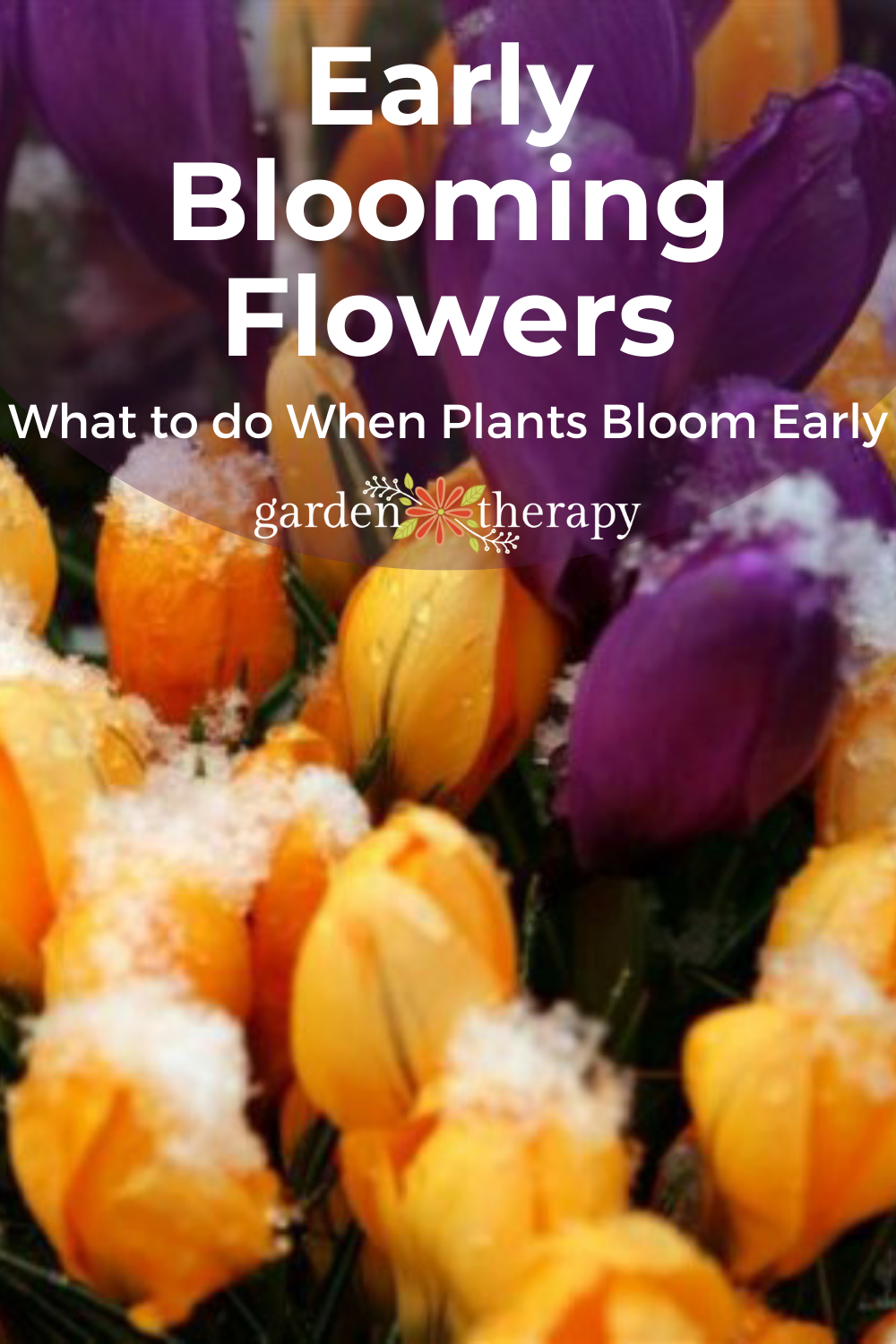 what-happens-if-my-plant-has-early-blooms-garden-therapy