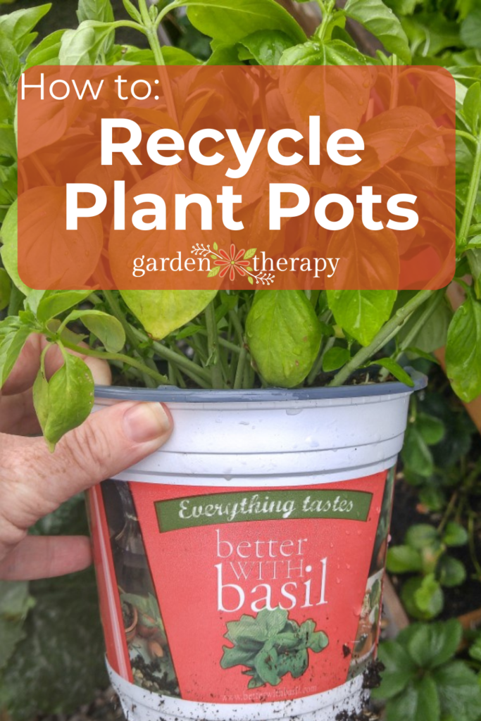 Pin image for how to properly recycle plant pots