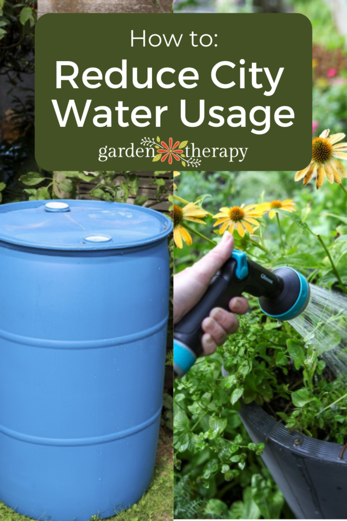 Pin image for how to reduce your city water usage through regenerative gardening practices