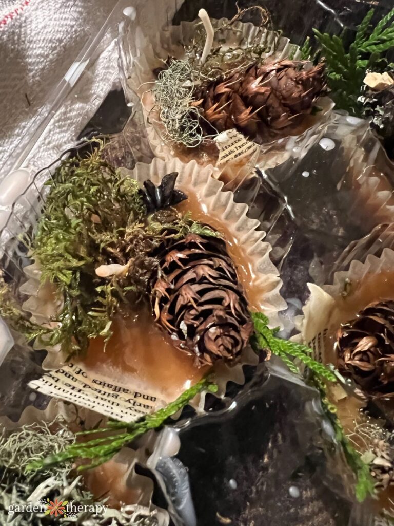 camping fire starter with pinecone and moss