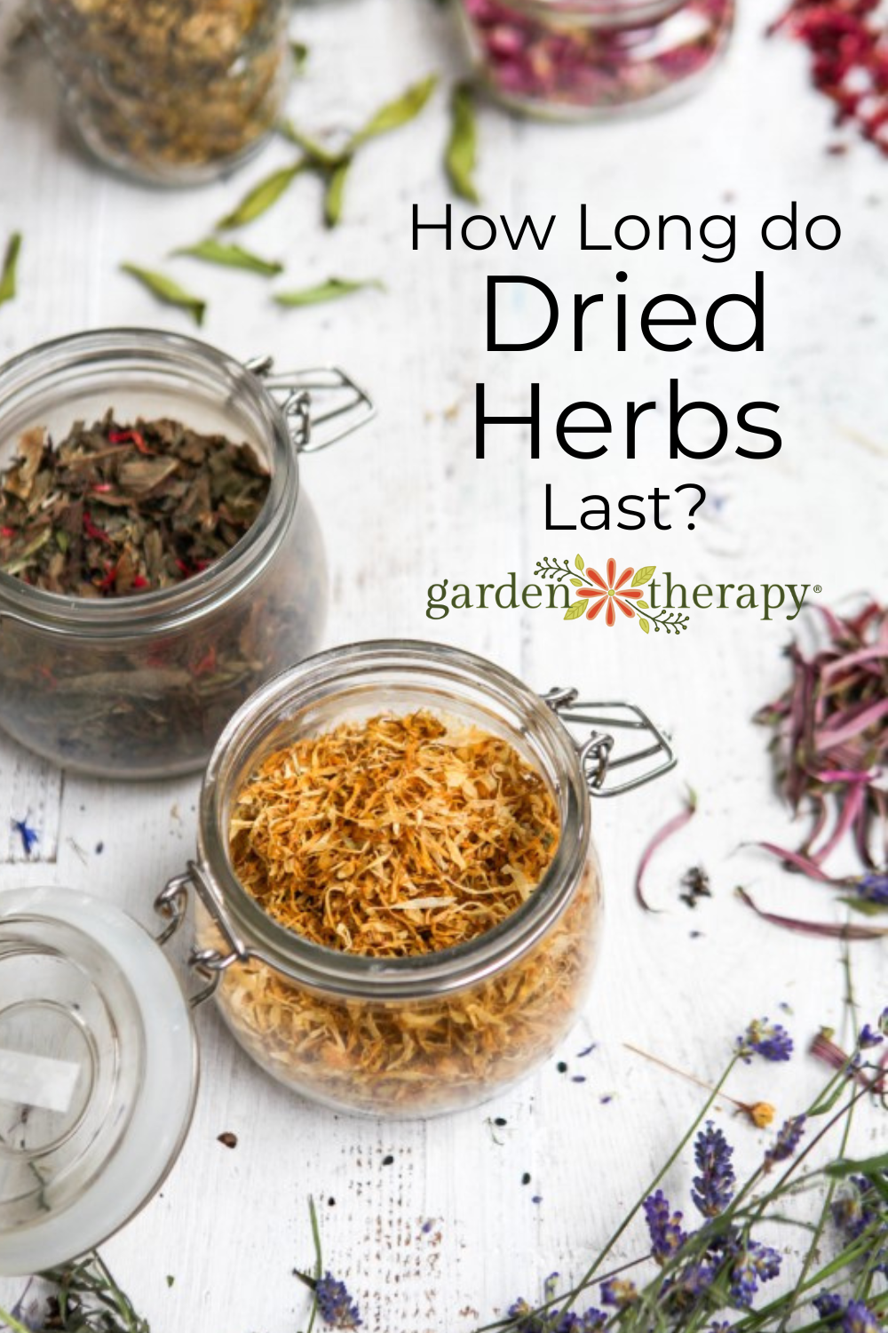 How Long Do Dried Herbs Last? - Garden Therapy