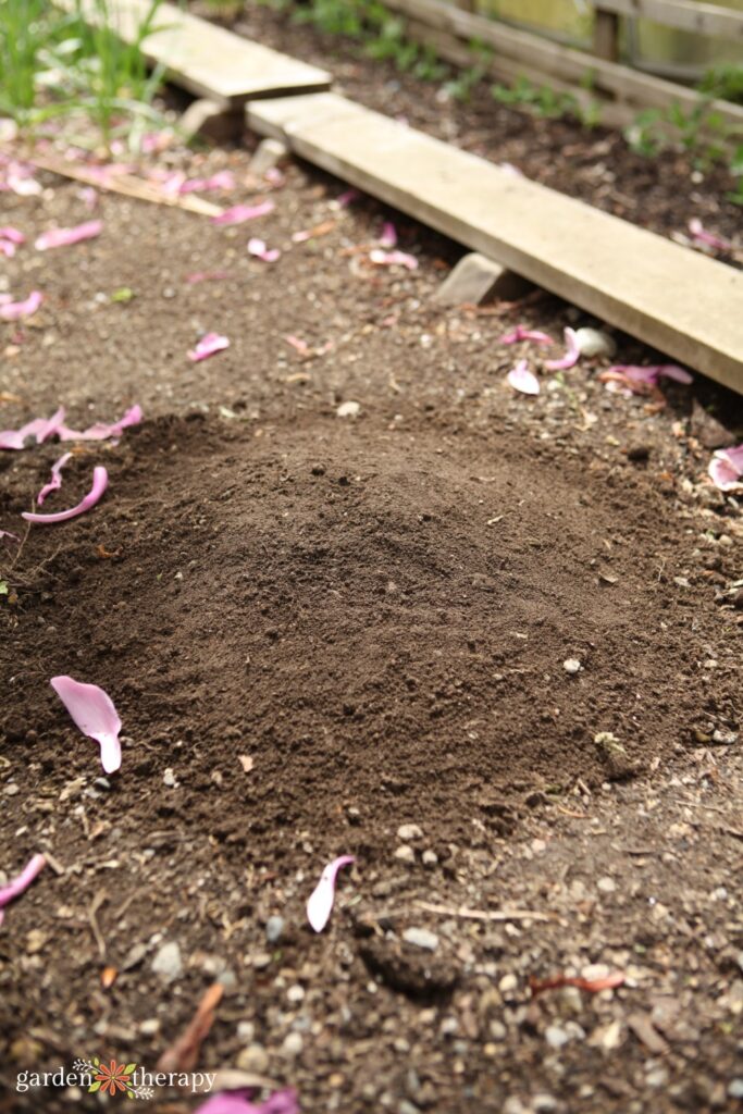 Rhubarb leaf bird bath step 2 dirt mound