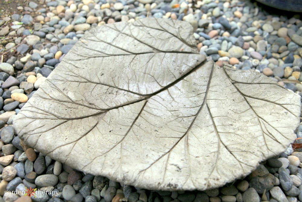 Make This Simple Rhubarb Leaf Concrete Bird Bath - Garden Therapy