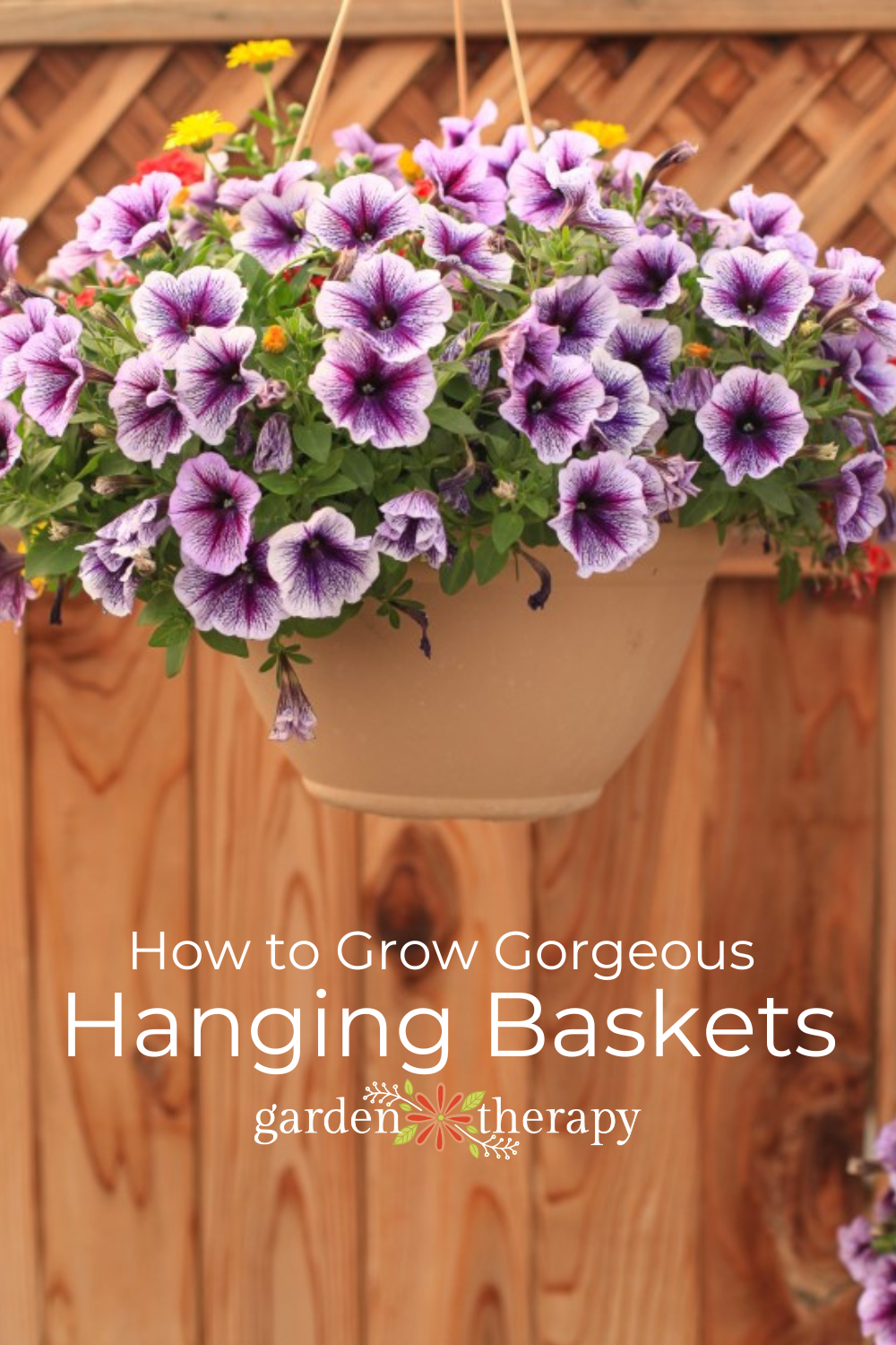 An Easy Care Guide For Luscious Hanging Basket Flowers - Garden Therapy