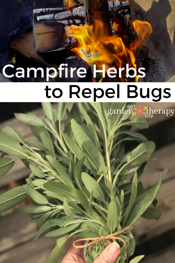 Pin image for how to repel mosquitos by putting herbs in the campfire