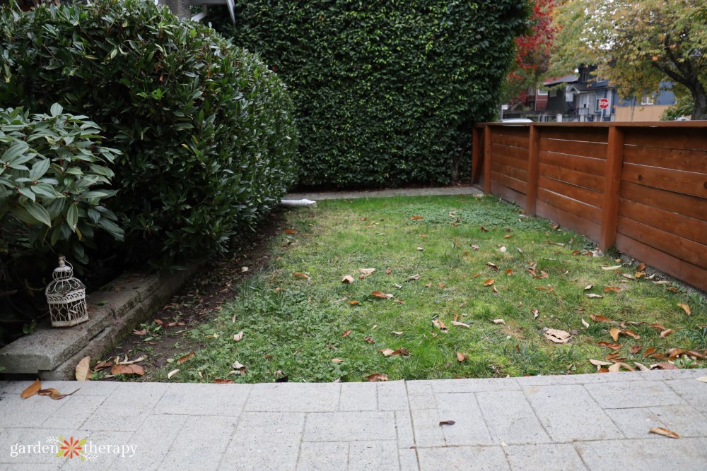 front yard before with turf grass