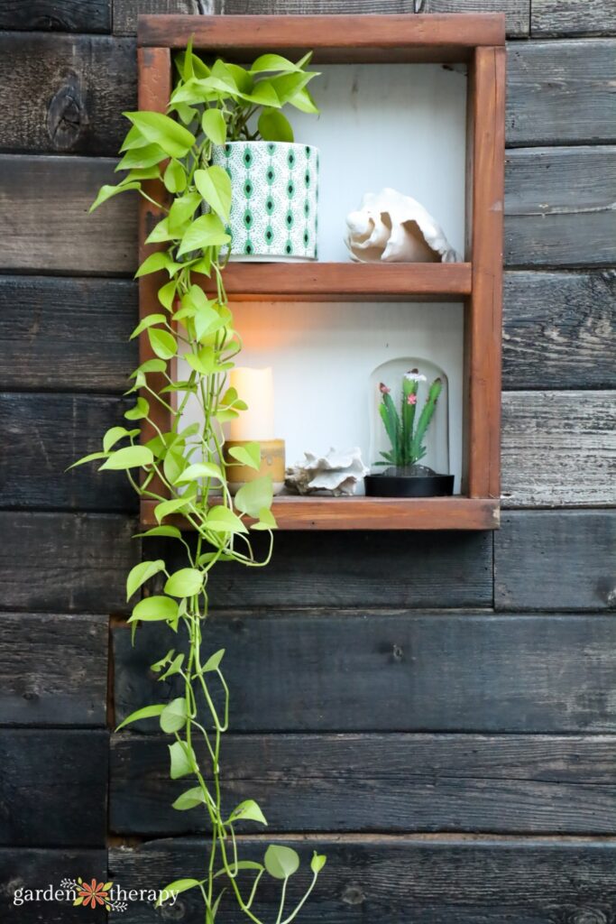 hot tub shelves and plant