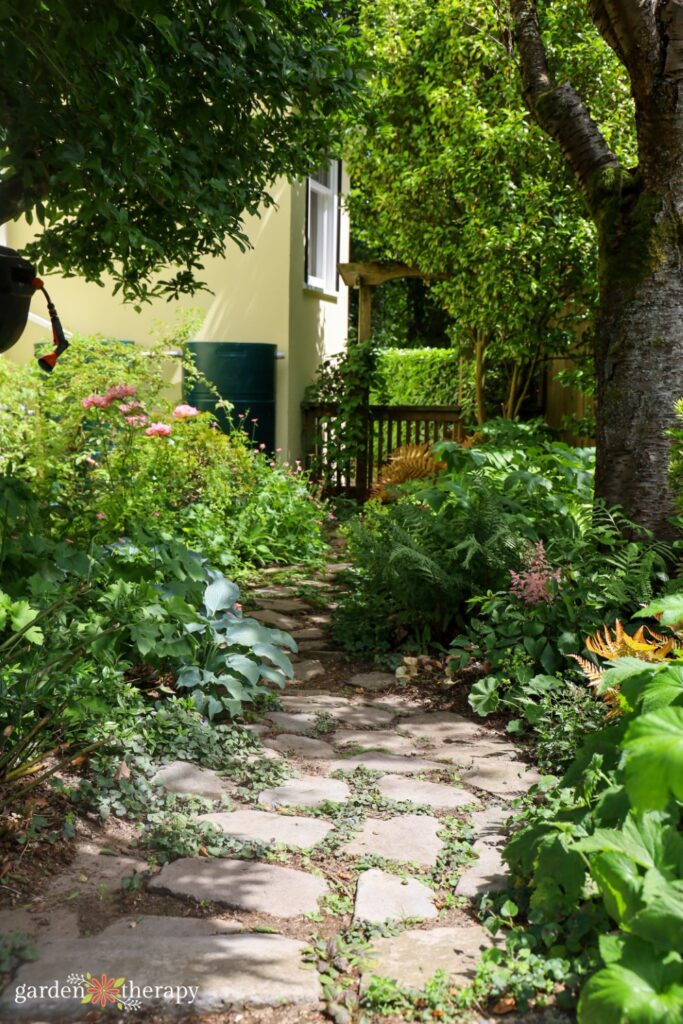 garden path in accessible garden