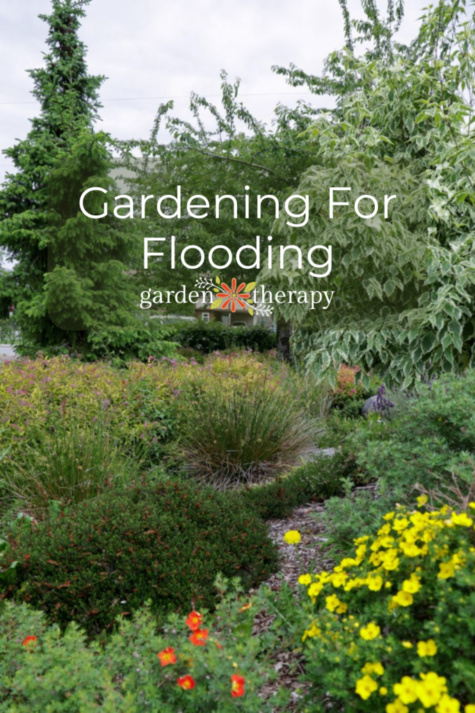 Pin image for gardening for flooding due to climate change.