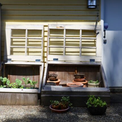 Vegetable cold frame