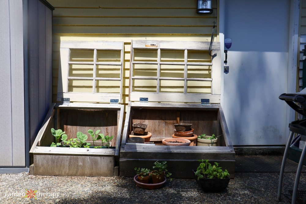 Vegetable cold frame