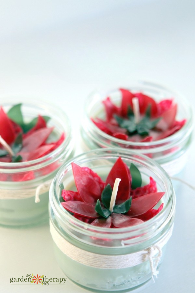 poinsettia candles