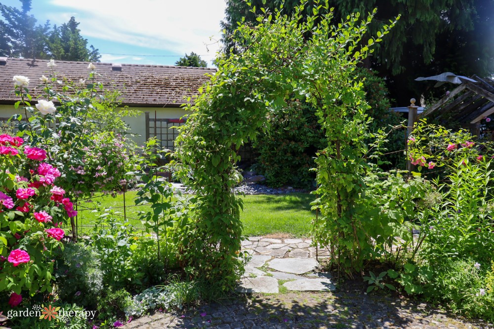 vine covered arch