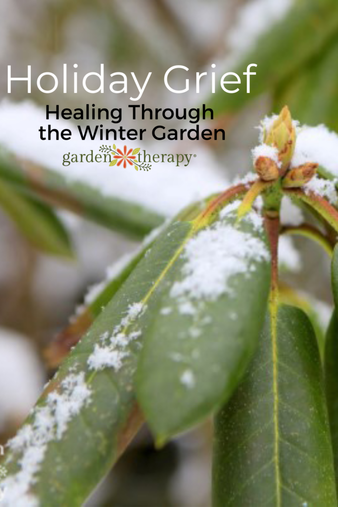 Pinterest image for holiday grief and how to use the winter garden to heal