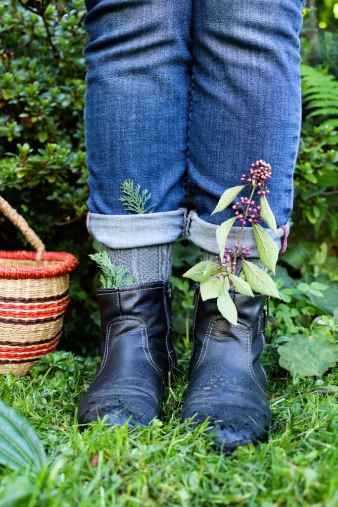 Plant Care for Emotional Care: Grounding Techniques for Anxiety Using the Garden