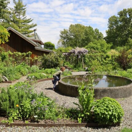 Buddha pond Strathcona Gardens