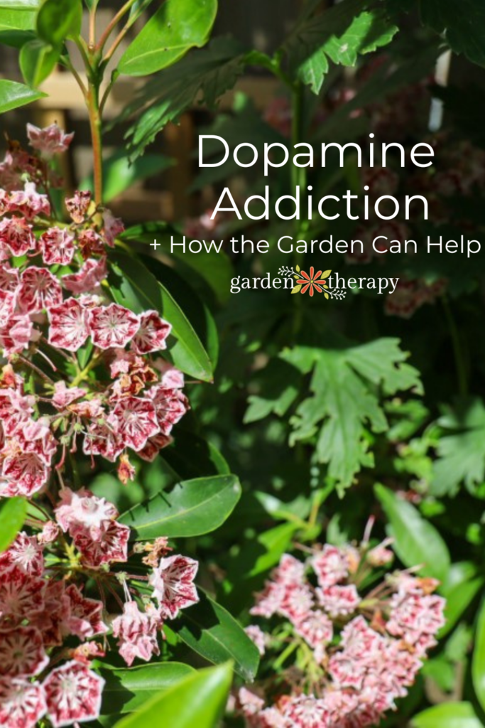 Pin image for dopamine addiction and how we can use mindful gardening to overcome it.