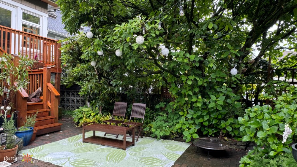 luscious green and wild backyard patio sitting area