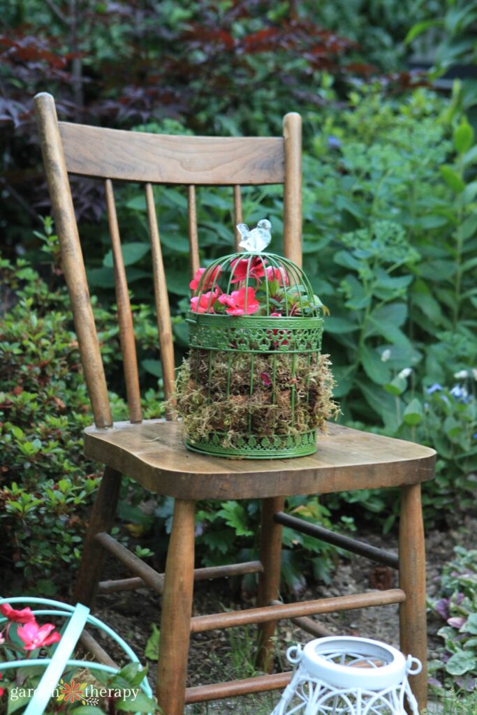 chair with birdcage planter