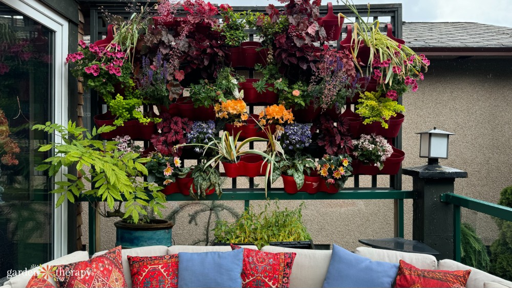 deck plant and flower wall