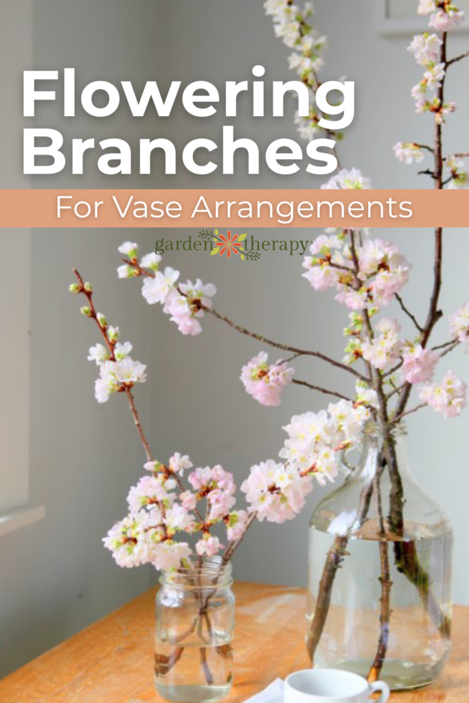 Cut Your Own Natural Flowering Branches for Vase Arrangements