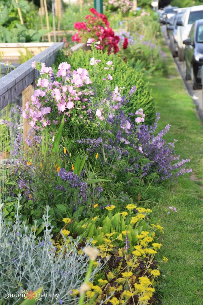 wildlife border along raised bed