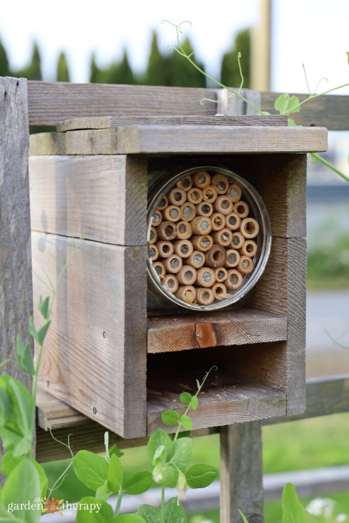 bee house on fence