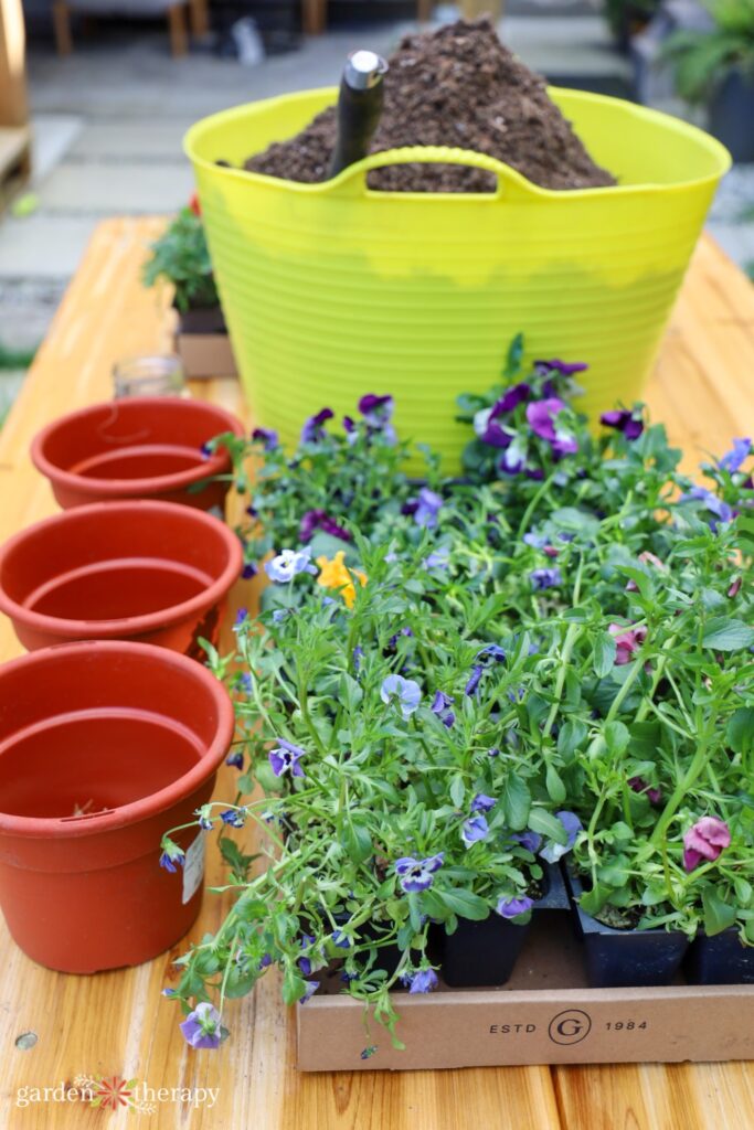 planting party materials including annuals, soil, and bulbs
