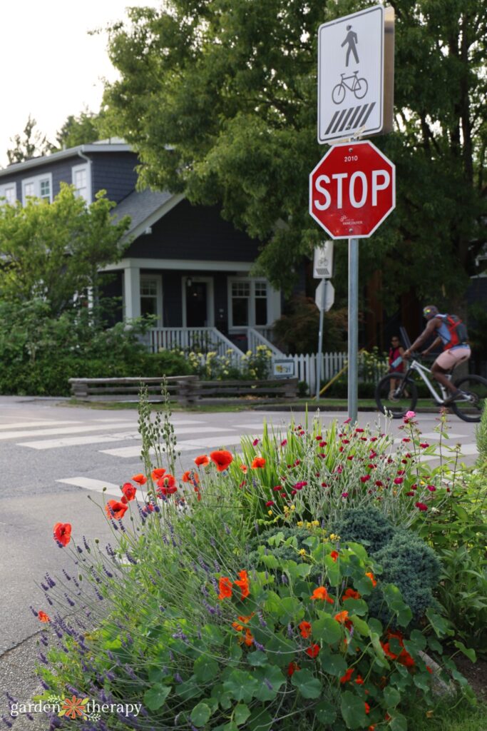 sidewalk garden